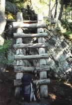 Log Ladder